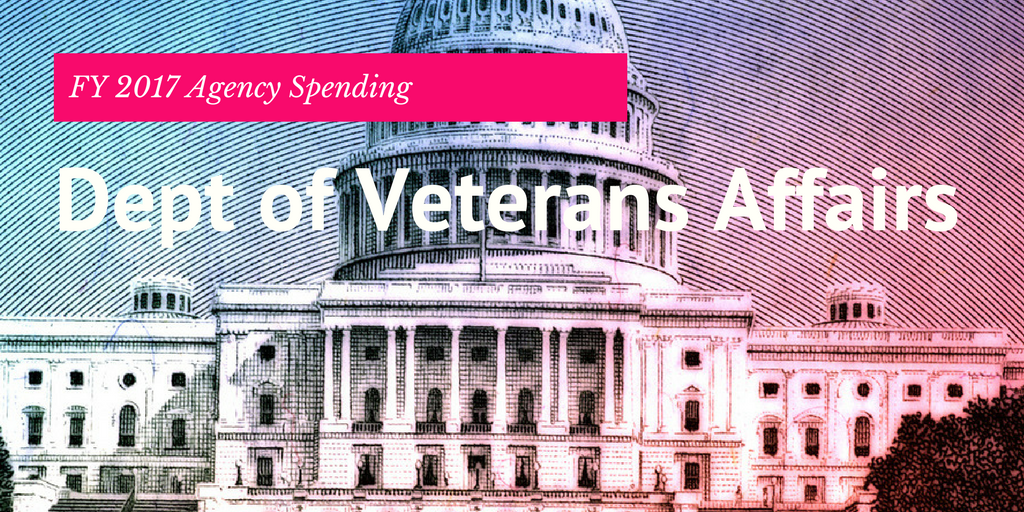 Department of Veterans Affairs Agency Spending FY 2017